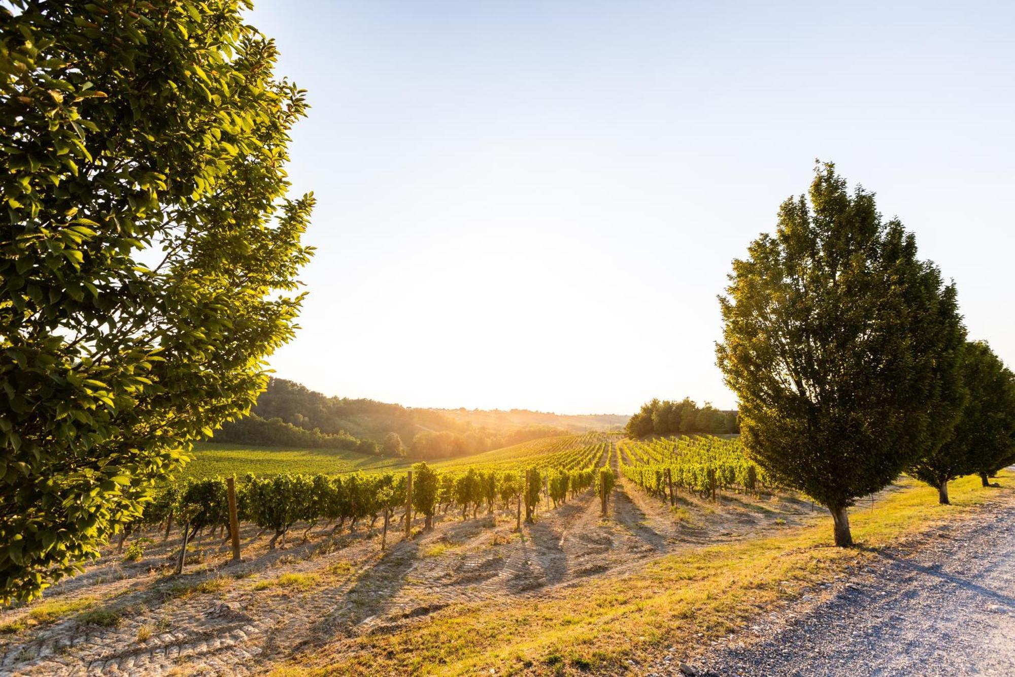 Tenuta La Meirana Gavi Villa Luaran gambar