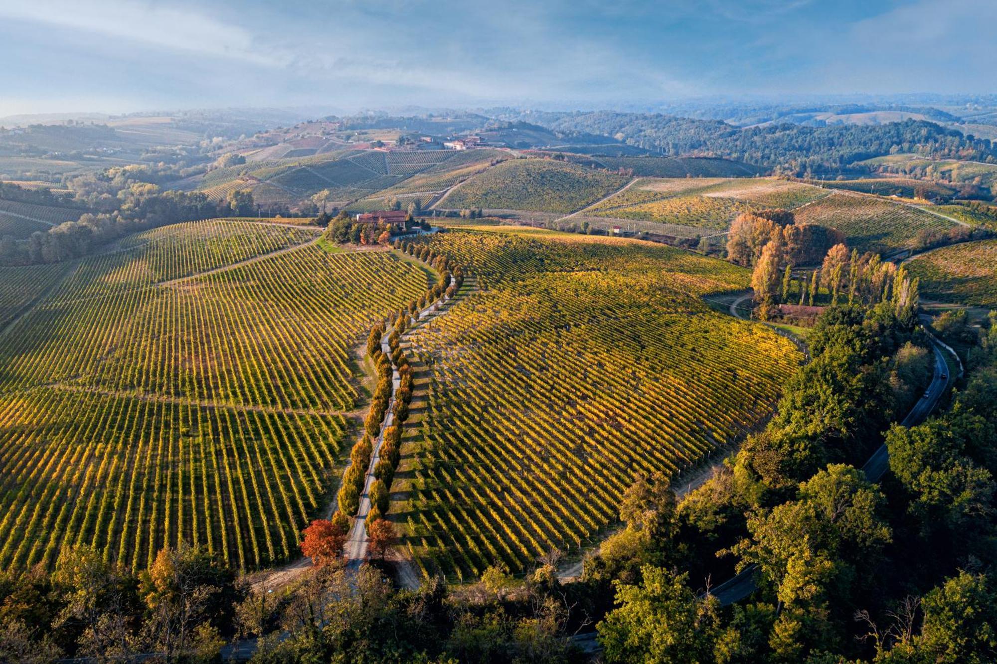 Tenuta La Meirana Gavi Luaran gambar