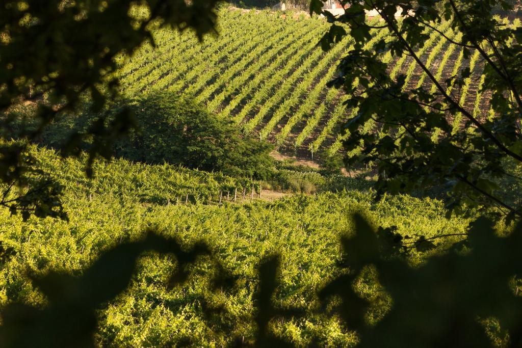 Tenuta La Meirana Gavi Luaran gambar