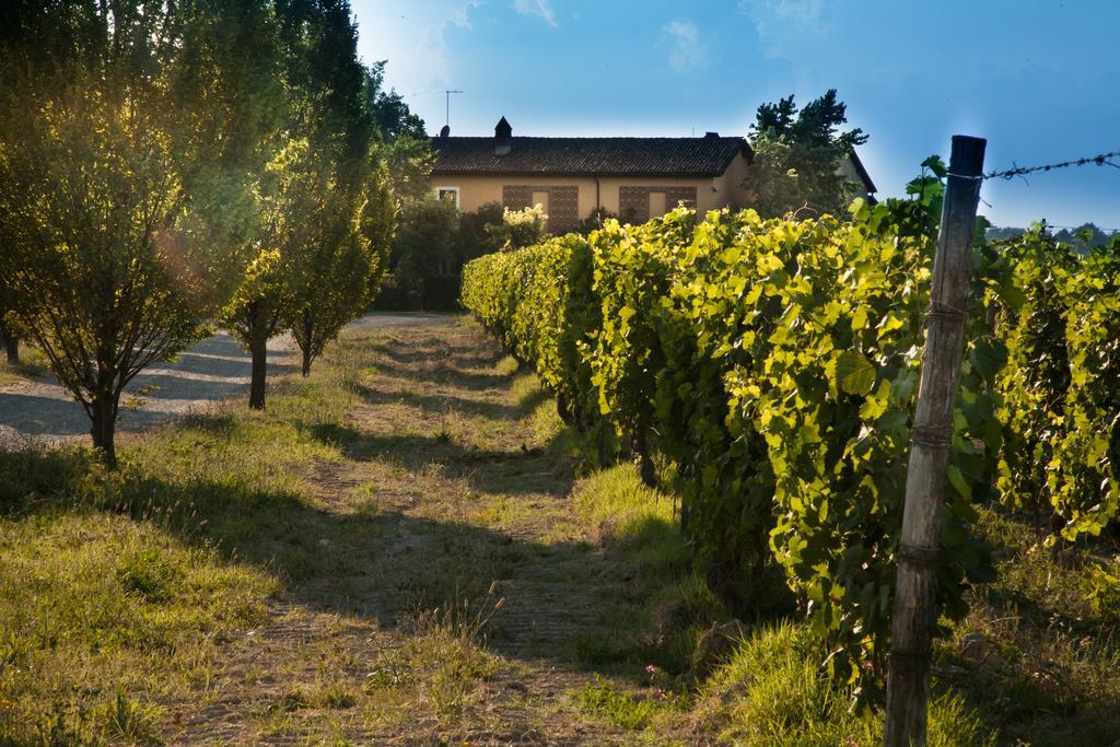 Tenuta La Meirana Gavi Luaran gambar