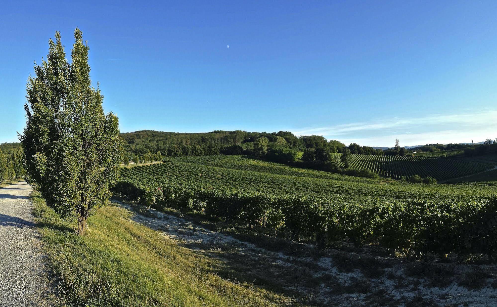 Tenuta La Meirana Gavi Villa Luaran gambar